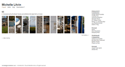 Desktop Screenshot of michellelitvin.com